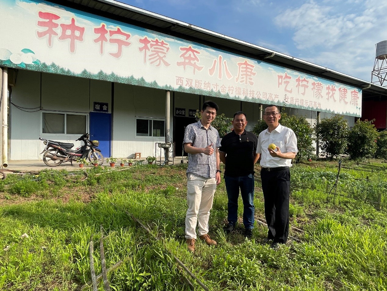 172623180.jpg 西双版纳寸金柠檬科技有限公司.jpg